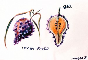 modif 4 Fruit